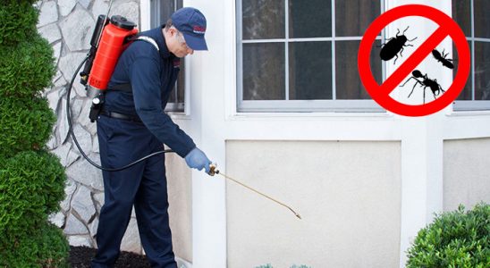 Mengen Dezenfeksiyon böcek ilaçlama ve haşere kontrolü — ilaclama-tr.com